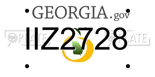 IIZ2728 Georgia License Plate