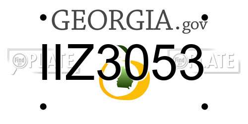 IIZ3053 Georgia License Plate
