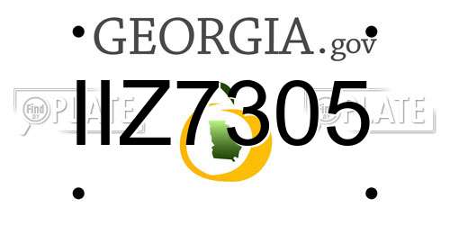IIZ7305 Georgia License Plate