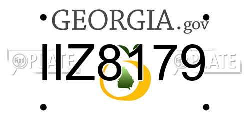 IIZ8179 Georgia License Plate