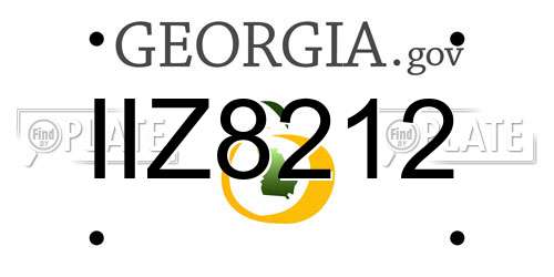 IIZ8212 Georgia License Plate