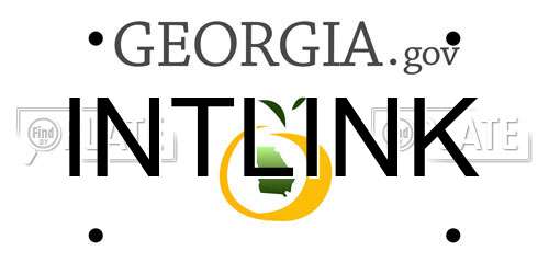 INTLINK Georgia License Plate