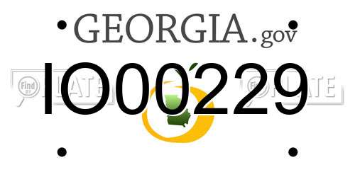 IO00229 Georgia License Plate