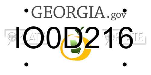 IO0D216 Georgia License Plate