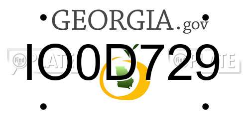 IO0D729 Georgia License Plate