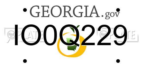 IO0Q229 Georgia License Plate