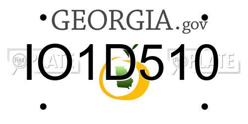 IO1D510 Georgia License Plate