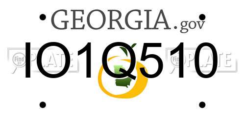IO1Q510 Georgia License Plate