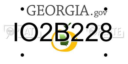 IO2B228 Georgia License Plate