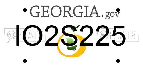 IO2S225 Georgia License Plate