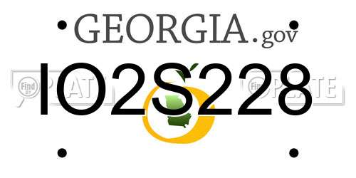 IO2S228 Georgia License Plate