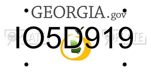 IO5D919 Georgia License Plate