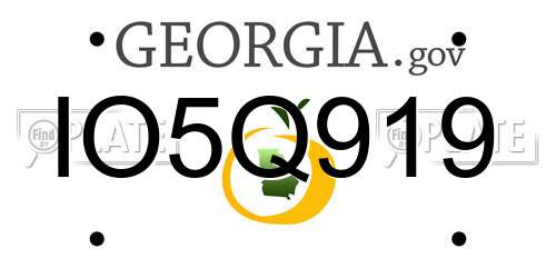 IO5Q919 Georgia License Plate