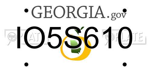IO5S610 Georgia License Plate