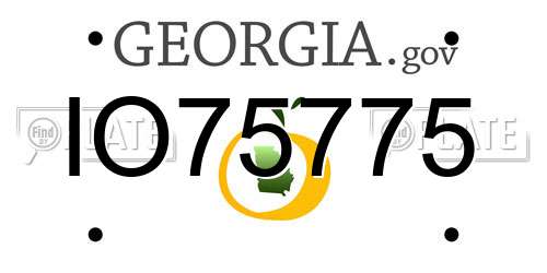 IO75775 Georgia License Plate