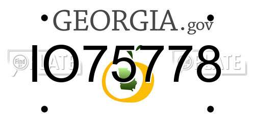 IO75778 Georgia License Plate