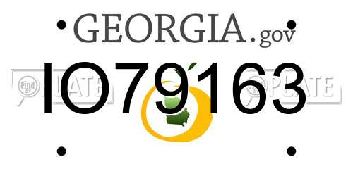IO79163 Georgia License Plate