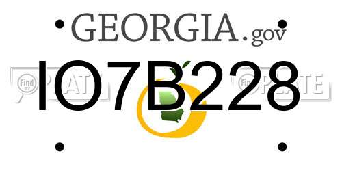 IO7B228 Georgia License Plate