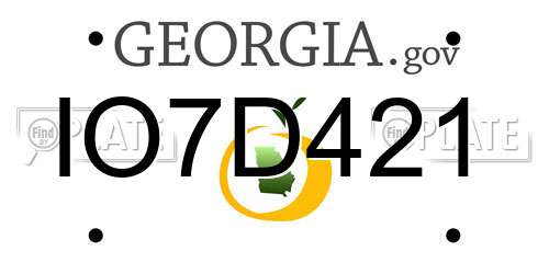 IO7D421 Georgia License Plate