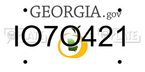 IO7O421 Georgia License Plate
