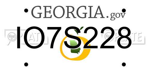 IO7S228 Georgia License Plate