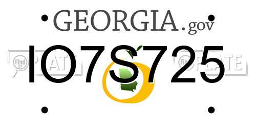IO7S725 Georgia License Plate