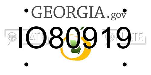 IO80919 Georgia License Plate