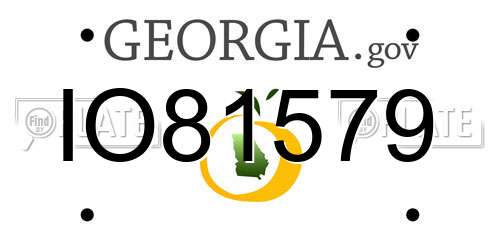 IO81579 Georgia License Plate