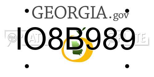 IO8B989 Georgia License Plate