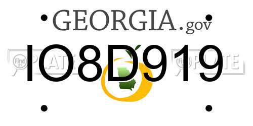 IO8D919 Georgia License Plate
