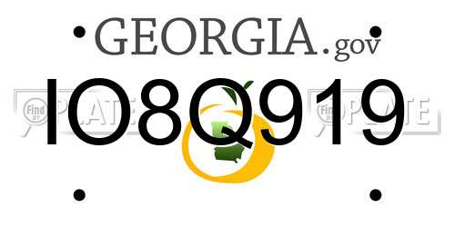 IO8Q919 Georgia License Plate