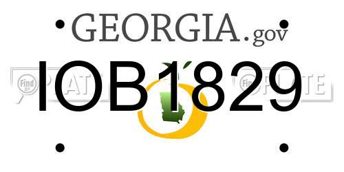 IOB1829 Georgia License Plate