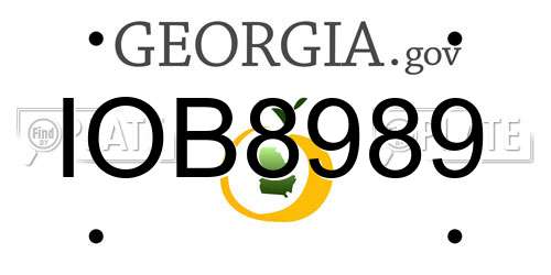 IOB8989 Georgia License Plate