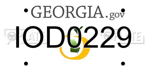 IOD0229 Georgia License Plate