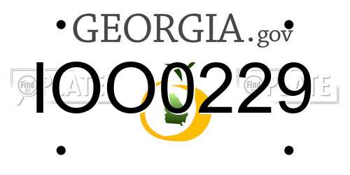 IOO0229 Georgia License Plate