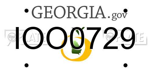 IOO0729 Georgia License Plate