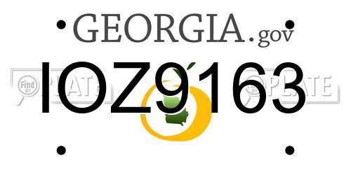 IOZ9163 Georgia License Plate