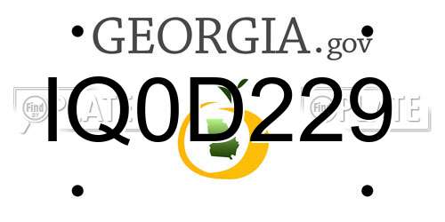 IQ0D229 Georgia License Plate
