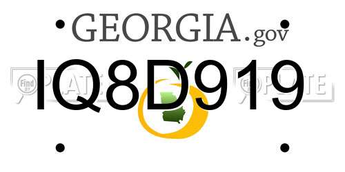 IQ8D919 Georgia License Plate