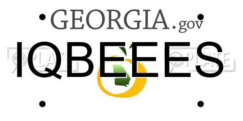 IQBEEES Georgia License Plate
