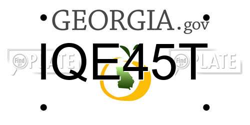 IQE45T Georgia License Plate