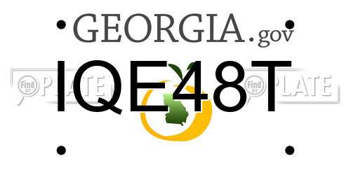 IQE48T Georgia License Plate