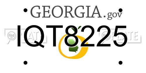 IQT8225 Georgia License Plate