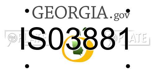 IS03881 Georgia License Plate