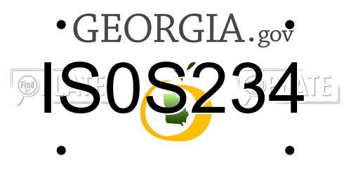IS0S234 Georgia License Plate