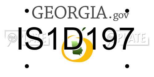 IS1D197 Georgia License Plate
