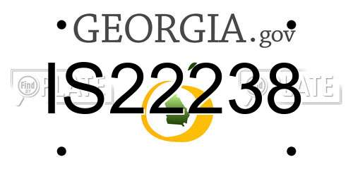 IS22238 Georgia License Plate