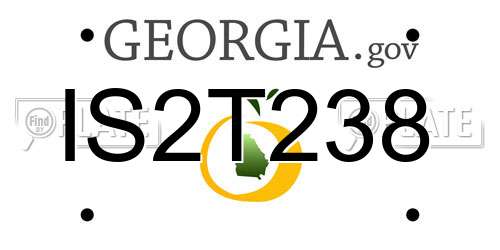 IS2T238 Georgia License Plate