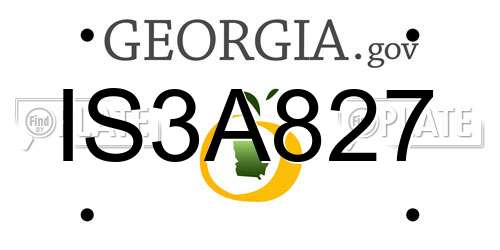 IS3A827 Georgia License Plate