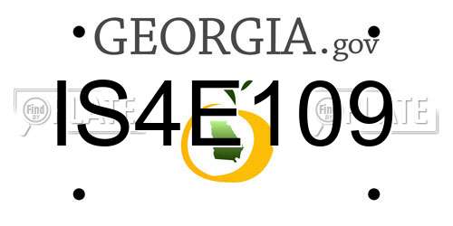IS4E109 Georgia License Plate